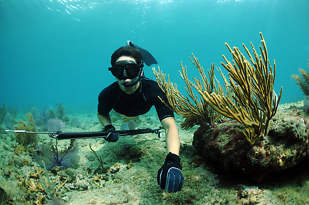 포토 JPG 해외이미지 바다 낚시 고글 한명 스노클링 산호 대서양 해외202004 해외202105 해외포토 1 레저 사람 수상스포츠 자포동물 파일형식