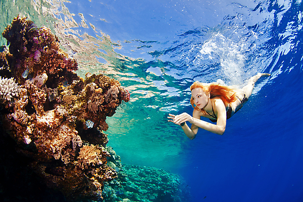 포토 JPG 해외이미지 주간 전신 응시 여자 바다 한명 성인 야외 옆모습 바닷속 수영 스노클링 암초 성인여자한명만 해외202004 해외202105 해외포토 자연요소 1 시선 뷰포인트 사람 수중 수상스포츠 여자한명만 성인여자만 파일형식