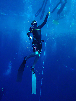 포토 JPG 해외이미지 바다 자연 어류 사람없음 해외202004 해외202105 해외포토 수중동물 생태계 파일형식