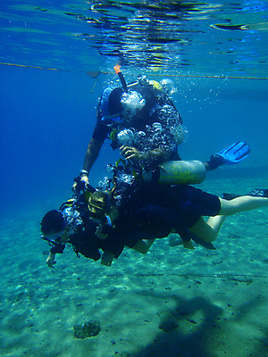 포토 JPG 해외이미지 바다 자연 사람없음 해외202004 해외202105 해외포토 생태계 파일형식