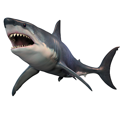 포토 JPG 해외이미지 바다 생물 종류 어류 사람없음 3D 바닷속 치아 먹기 육식동물 상어 육식 멸종위기동물 매머드 힘찬 해외202004 해외202105 해외포토 동물 컨셉 모션 수중 수중동물 소화기관 디지털합성 파일형식 멸종위기종