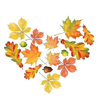 EPS 해외이미지 단풍 일러스트 사람없음 하트 해외202004 해외202105 해외일러스트 모양 잎 파일형식 벡터