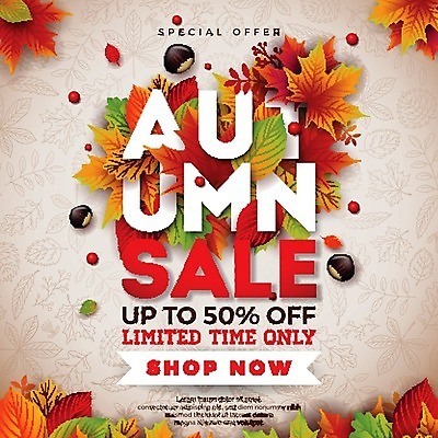 EPS 해외이미지 단풍 낙엽 일러스트 타이포그라피 사람없음 세일 가을 밤 해외202004 해외202105 해외일러스트 문자 계절 잎 견과류 파일형식 벡터