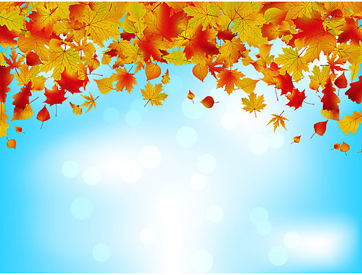 EPS 해외이미지 단풍 낙엽 일러스트 하늘 사람없음 가을풍경 가을 해외202004 해외202105 해외일러스트 계절 잎 풍경 파일형식 벡터 가을_계절