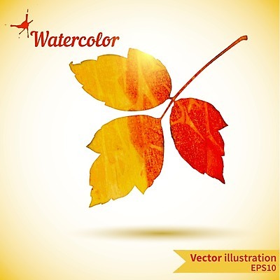 EPS 해외이미지 단풍 낙엽 일러스트 타이포그라피 사람없음 가을 해외202004 해외202105 해외일러스트 문자 계절 잎 파일형식 벡터