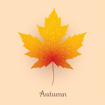 EPS 해외이미지 단풍 낙엽 일러스트 사람없음 가을 해외202004 해외202105 해외일러스트 계절 잎 파일형식 벡터