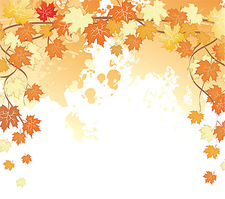 EPS 해외이미지 단풍 낙엽 일러스트 사람없음 가을 나뭇가지 해외202004 해외202105 해외일러스트 나무 계절 잎 파일형식 벡터