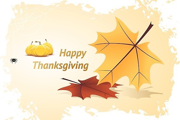 EPS 해외이미지 단풍 낙엽 일러스트 호박 타이포그라피 사람없음 노란색 가을 거미 추수감사절 해외202004 해외202105 해외일러스트 문자 계절 기독교 컬러 곤충 잎 채소 파일형식 벡터