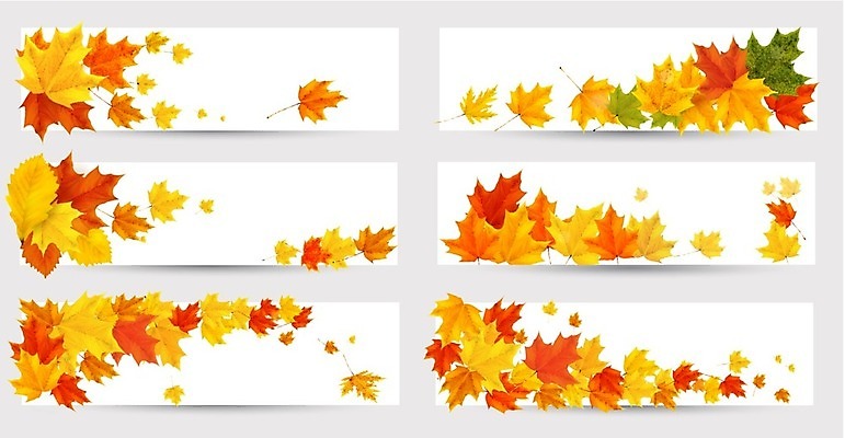 EPS 해외이미지 배너 단풍 낙엽 일러스트 사람없음 세트 가을 해외202004 해외202105 해외일러스트 계절 잎 파일형식 벡터