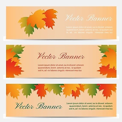 EPS 해외이미지 배너 단풍 낙엽 일러스트 타이포그라피 사람없음 세트 주황색 가을 해외202004 해외202105 해외일러스트 문자 계절 컬러 잎 파일형식 벡터