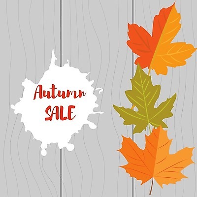 EPS 해외이미지 단풍 낙엽 일러스트 타이포그라피 사람없음 세일 가을 일렬 해외202004 해외202105 해외일러스트 문자 계절 잎 파일형식 벡터