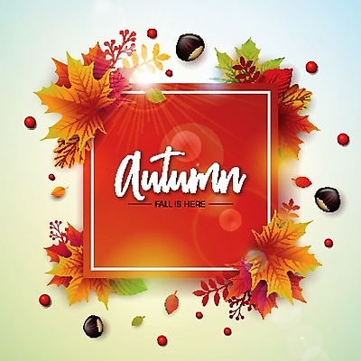 EPS 해외이미지 열매 단풍 낙엽 일러스트 사각프레임 타이포그라피 사람없음 빛 가을 밤 해외202004 해외202105 해외일러스트 식물 문자 계절 잎 프레임 사각형 견과류 파일형식 벡터