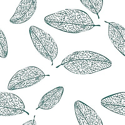 EPS 해외이미지 잎 라인일러스트 일러스트 사람없음 가을 해외202004 해외202105 해외일러스트 식물 계절 파일형식 벡터