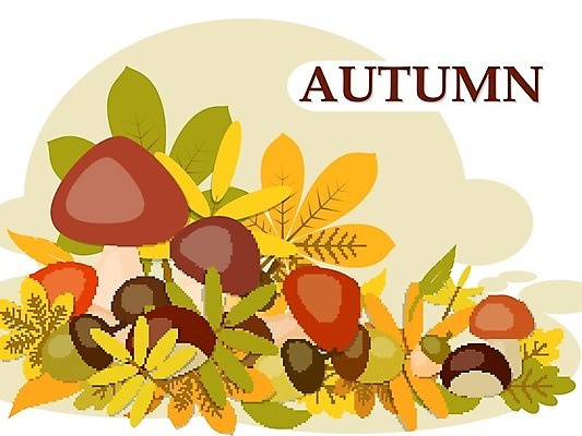 EPS 해외이미지 단풍 낙엽 일러스트 타이포그라피 사람없음 버섯 가을 밤 도토리 해외202004 해외202105 해외일러스트 문자 계절 잎 견과류 파일형식 벡터