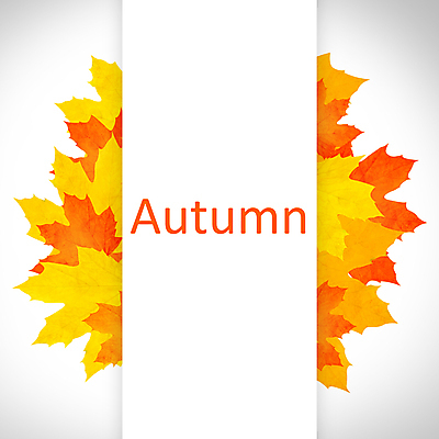 JPG 해외이미지 백그라운드 낙엽 프레임 타이포그라피 사람없음 가을 해외202004 해외202105 해외일러스트 문자 계절 잎 파일형식