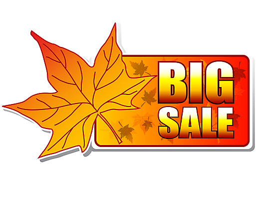 JPG 해외이미지 낙엽 잎 사람없음 쇼핑 주황색 가을 빅세일 해외202004 해외202105 해외일러스트 식물 계절 컬러 세일 파일형식