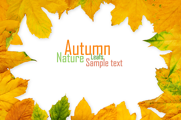 포토 JPG 해외이미지 백그라운드 단풍 낙엽 잎 자연 프레임 타이포그라피 사람없음 가을 해외202004 해외202105 해외포토 식물 문자 계절 생태계 파일형식
