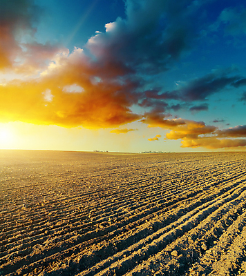 포토 JPG 해외이미지 주간 구름 백그라운드 밭 농업 자연 하늘 풍경 사람없음 야외 햇빛 농장 농경지 일출 황혼 일몰 가을 저녁 해외202004 해외202105 해외포토 자연요소 계절 산업 태양 노을 야간 생태계 파일형식