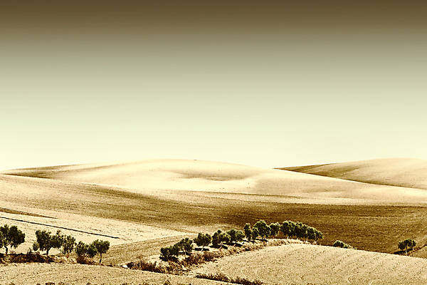 포토 JPG 해외이미지 주간 밭 농업 하늘 풍경 사람없음 야외 농경지 해외202004 해외202105 해외포토 자연요소 산업 농장 파일형식