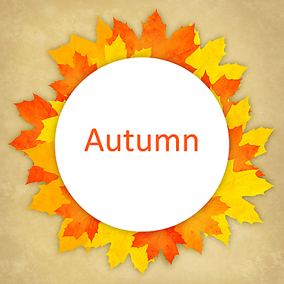 JPG 해외이미지 백그라운드 낙엽 잎 프레임 사람없음 야외 가을 해외202004 해외202105 해외일러스트 식물 계절 파일형식