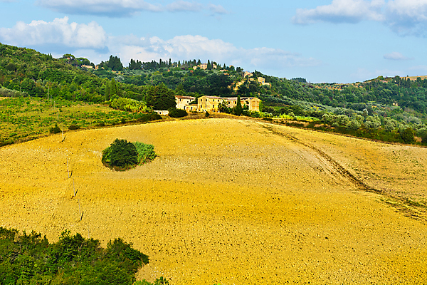 포토 JPG 해외이미지 밭 농업 자연 하늘 주택 풍경 사람없음 야외 농작물 농장 농경지 마을 가을 지중해 토스카나 해외202004 해외202105 해외포토 계절 산업 바다 건물 이탈리아 생태계 파일형식