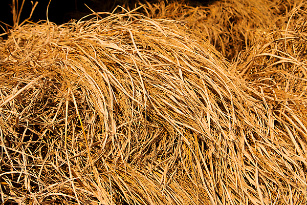 포토 JPG 해외이미지 주간 백그라운드 낙엽 농업 사람없음 야외 쌓기 볏짚 뭉치 밀짚 해외202004 해외202105 해외포토 자연요소 산업 잎 모션 짚 파일형식