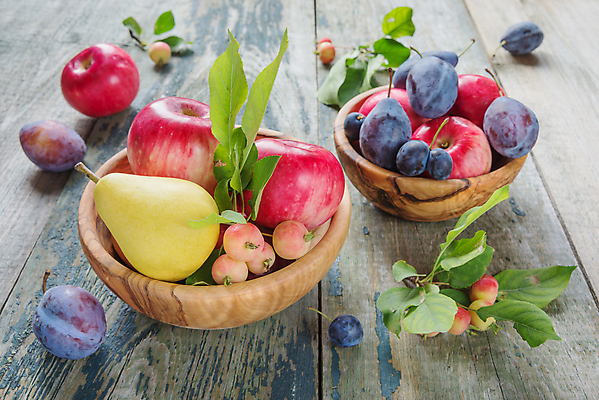 포토 JPG 해외이미지 열매 백그라운드 잎 과일 자연 탁자 사람없음 농작물 가을 사과 자두 해외202004 해외202105 해외포토 식물 계절 가구 농업 생태계 파일형식