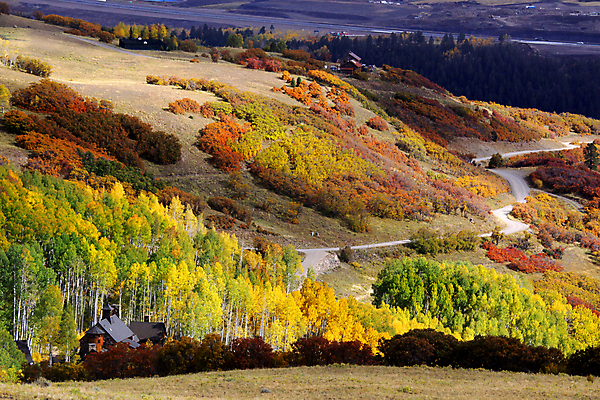 포토 JPG 해외이미지 주간 도로 여행 백그라운드 잎 자연 풍경 사람없음 야외 가을풍경 가을 해외202004 해외202105 해외포토 자연요소 식물 계절 길 교통시설 생태계 파일형식 가을_계절