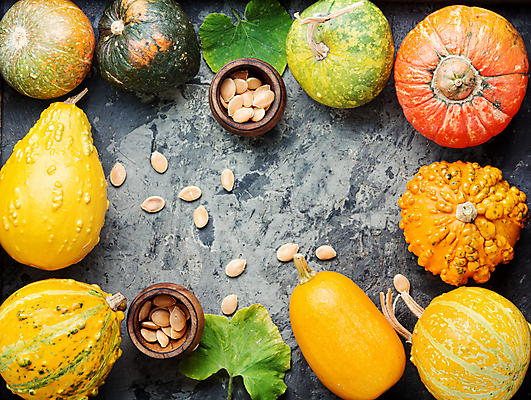 포토 JPG 해외이미지 백그라운드 낙엽 호박 프레임 사람없음 가을 호박씨 호박잎 해외202004 해외202105 해외포토 계절 잎 채소 씨앗 파일형식