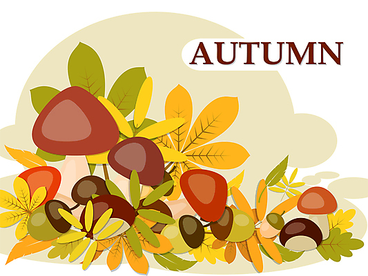 JPG 해외이미지 백그라운드 단풍 낙엽 잎 자연 사람없음 버섯 가을 도토리 해외202004 해외202105 해외일러스트 식물 계절 견과류 생태계 파일형식