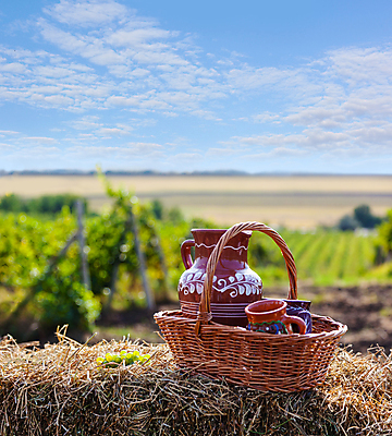 포토 JPG 해외이미지 백그라운드 낙엽 잎 밭 농업 하늘 풍경 사람없음 아웃포커스 농장 바구니 가을 담기 포도밭 밀짚 해외202004 해외202105 해외포토 식물 계절 산업 모션 촬영기법 짚 파일형식