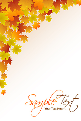 포토 JPG 해외이미지 백그라운드 낙엽 잎 자연 사람없음 가을 카피스페이스 해외202004 해외202105 해외포토 식물 계절 공백 생태계 파일형식