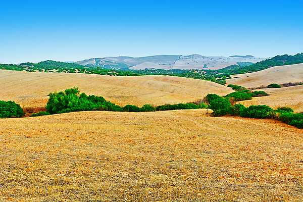 포토 JPG 해외이미지 밭 농업 풍경 사람없음 야외 농장 농경지 해외202004 해외202105 해외포토 산업 파일형식