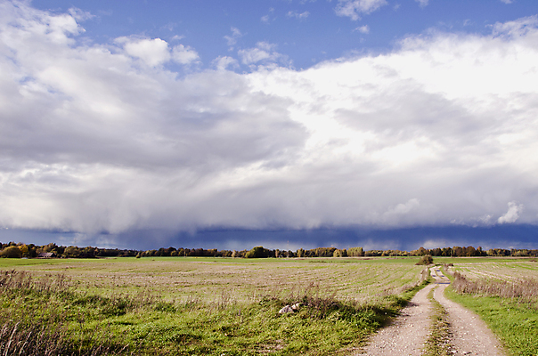 포토 JPG 해외이미지 구름 도로 밭 농업 자연 하늘 풍경 사람없음 야외 농장 농경지 가을 해외202004 해외202105 해외포토 자연요소 계절 산업 길 교통시설 생태계 파일형식
