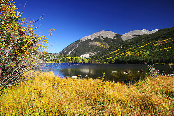 포토 JPG 해외이미지 주간 호수 여행 백그라운드 잎 자연 하늘 산 풍경 사람없음 야외 미국 가을 콜로라도 해외202004 해외202105 해외포토 자연요소 식물 계절 북아메리카 생태계 파일형식