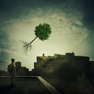 포토 JPG 해외이미지 전신 나무 남자 여러마리 상상 조류 하늘 추상 한그루 한명 서기 빌딩 성인 건물 자연보호 환경오염 환경보전 상상력 성인남자한명만 해외202004 해외202105 해외포토 식물 동물 1 건축물 다수 컨셉 무늬 모션 자연 사람 보호 사회이슈 남자한명만 성인남자만 파일형식