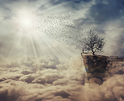 포토 JPG 해외이미지 전신 나무 구름 남자 상상 조류 하늘 추상 한명 서기 성인 태양 절벽 새떼 상상력 성인남자한명만 해외202004 해외202105 해외포토 자연요소 식물 동물 1 무늬 모션 사람 남자한명만 성인남자만 파일형식