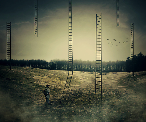 포토 JPG 해외이미지 전신 나무 남자 사다리 상상 조류 하늘 추상 한명 서기 성인 땅 새떼 상상력 성인남자한명만 해외202004 해외202105 해외포토 식물 동물 1 무늬 모션 사람 도구 남자한명만 성인남자만 파일형식