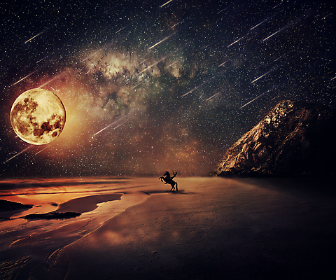 포토 JPG 해외이미지 실루엣 별 여행 상상 밤하늘 추상 사람모양 해변 사람없음 도전 보름달 말_동물 승마 야간 유성 상상력 해외202004 해외202105 해외포토 자연요소 모양 스포츠 바다 무늬 포유류 하늘 촬영기법 달 파일형식