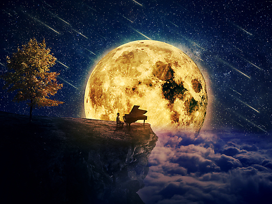 포토 JPG 해외이미지 전신 나무 구름 남자 별 어린이 상상 밤하늘 추상 한명 앉기 소년 절벽 보름달 피아노 야간 유성 상상력 몽환 소년한명만 해외202004 해외202105 해외포토 자연요소 식물 1 컨셉 무늬 모션 하늘 사람 달 건반악기 남자한명만 소년만 파일형식