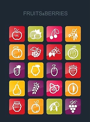 EPS 해외이미지 열매 잎 일러스트 딸기 포도 수박 사람없음 검은색 나뭇가지 체리 사과 멜론 심볼 올리브 블루베리 산딸기 복숭아 석류 자두 블랙베리 건포도 구스베리 살구 해외202004 해외202105 해외일러스트 나무 식물 컬러 과일 건과일 파일형식 벡터