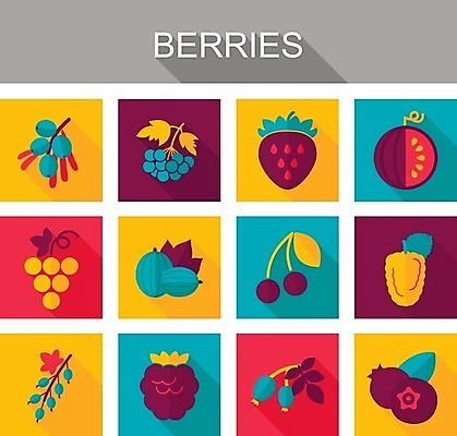 EPS 해외이미지 열매 음식 잎 과일 일러스트 딸기 포도 수박 사람없음 빨간색 검은색 나뭇가지 신선 체리 달콤 다발 블루베리 산딸기 블랙베리 건포도 구스베리 해외202004 해외202105 해외일러스트 나무 식물 컬러 맛 건과일 파일형식 벡터