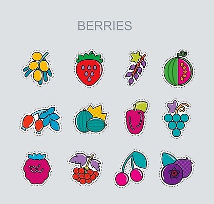 EPS 해외이미지 열매 음식 과일 일러스트 딸기 포도 수박 사람없음 빨간색 검은색 나뭇가지 신선 체리 달콤 다발 블루베리 산딸기 블랙베리 건포도 구스베리 해외202004 해외202105 해외일러스트 나무 식물 컬러 맛 건과일 파일형식 벡터