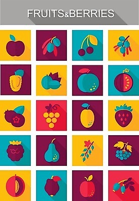 EPS 해외이미지 열매 잎 일러스트 딸기 포도 수박 사람없음 검은색 나뭇가지 체리 사과 멜론 심볼 올리브 블루베리 산딸기 복숭아 석류 자두 블랙베리 건포도 구스베리 살구 해외202004 해외202105 해외일러스트 나무 식물 컬러 과일 건과일 파일형식 벡터