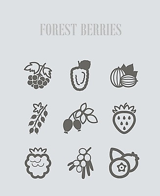 EPS 해외이미지 열매 음식 잎 과일 일러스트 딸기 건강 사람없음 빨간색 파란색 검은색 나뭇가지 신선 달콤 숲 다발 블루베리 산딸기 블랙베리 건포도 구스베리 해외202004 해외202105 해외일러스트 나무 식물 컬러 포도 맛 건과일 파일형식 벡터
