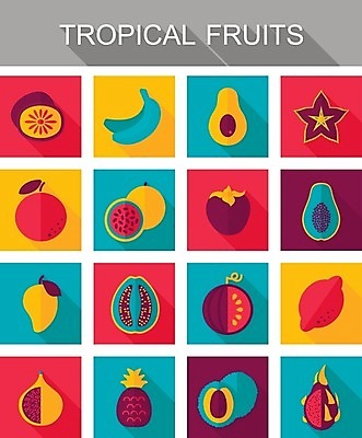 EPS 해외이미지 음식 오렌지 과일 일러스트 귤 수박 바나나 키위 감 사람없음 레몬 심볼 파인애플 사인 열정 라임 망고 아보카도 무화과 이국적 파파야 해외202004 해외202105 해외일러스트 감정 열대과일 파일형식 벡터