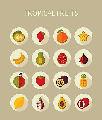 EPS 해외이미지 음식 오렌지 과일 일러스트 귤 수박 바나나 키위 감 사람없음 레몬 심볼 파인애플 사인 열정 라임 망고 아보카도 무화과 이국적 파파야 해외202004 해외202105 해외일러스트 감정 열대과일 파일형식 벡터
