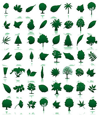 EPS 해외이미지 나무 식물 꽃 단풍 잎 꽃무늬 일러스트 자연 미술 풍경 사람없음 소나무 밤 자작나무 아카시아 재 해외202004 해외202105 해외일러스트 무늬 문화예술 견과류 생태계 파일형식 벡터