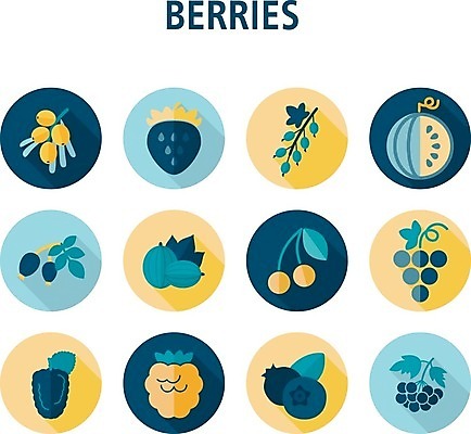 EPS 해외이미지 열매 음식 잎 과일 일러스트 딸기 포도 수박 사람없음 빨간색 검은색 나뭇가지 신선 체리 달콤 다발 블루베리 산딸기 블랙베리 건포도 구스베리 해외202004 해외202105 해외일러스트 나무 식물 컬러 맛 건과일 파일형식 벡터