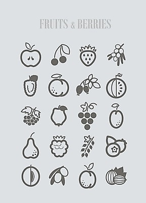 EPS 해외이미지 열매 잎 일러스트 딸기 포도 수박 사람없음 검은색 나뭇가지 체리 사과 멜론 심볼 올리브 블루베리 산딸기 복숭아 석류 자두 블랙베리 건포도 구스베리 살구 해외202004 해외202105 해외일러스트 나무 식물 컬러 과일 건과일 파일형식 벡터